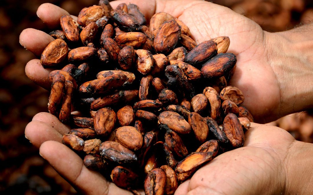 Masło kakaowe: właściwości i stosowanie w pielęgnacji