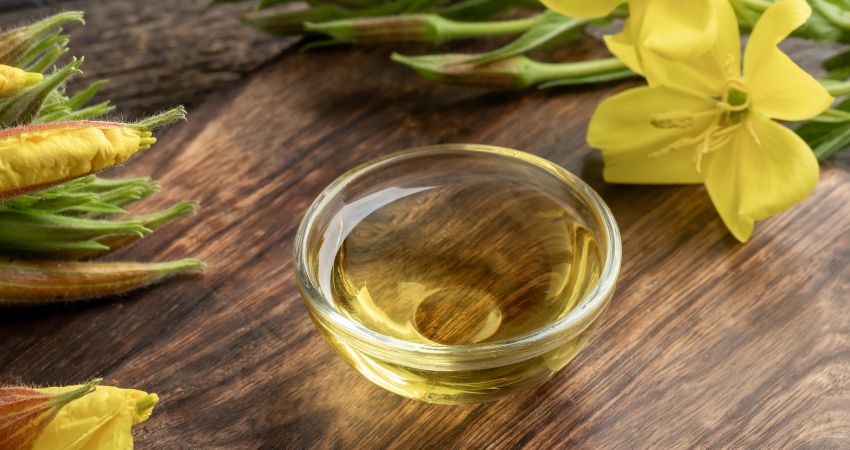 Olej z wiesiołka – zastosowanie w pielęgnacji